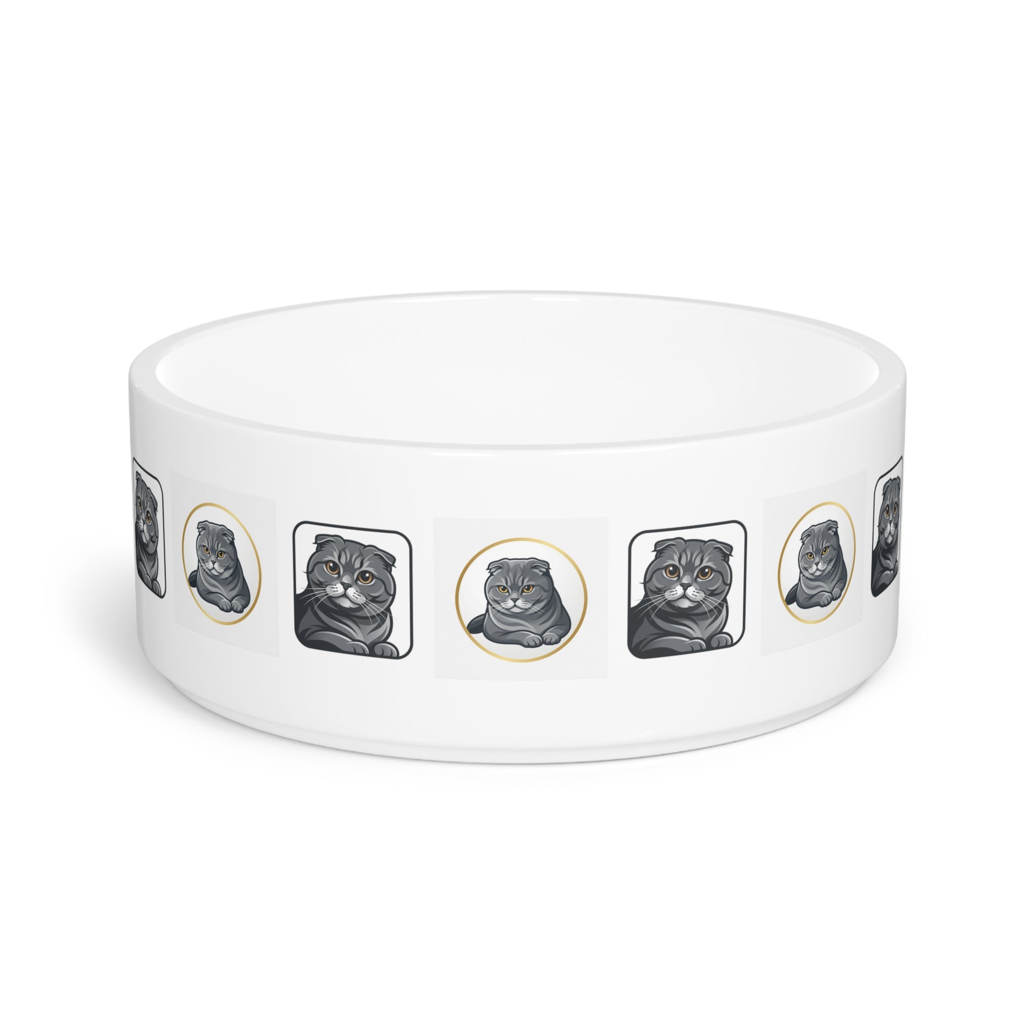 Pet Bowl